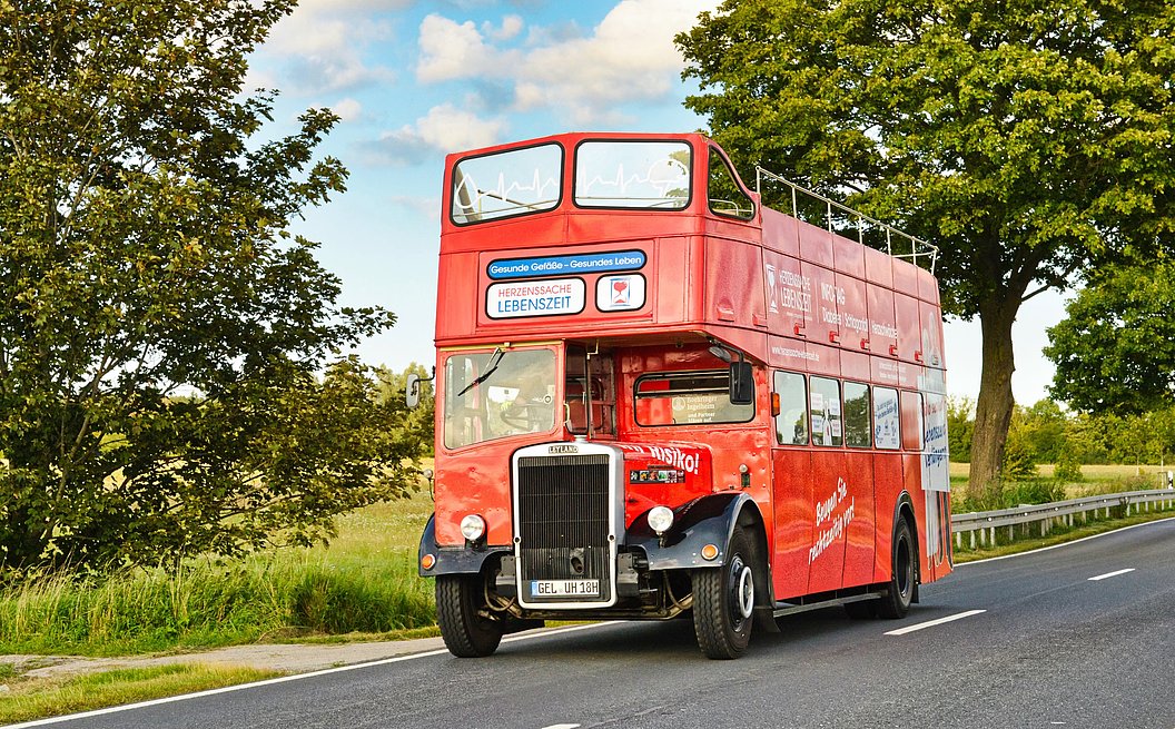 Roter Doppeldeckerbus fährt auf Landstraße mit Bäumen im Hintergrund