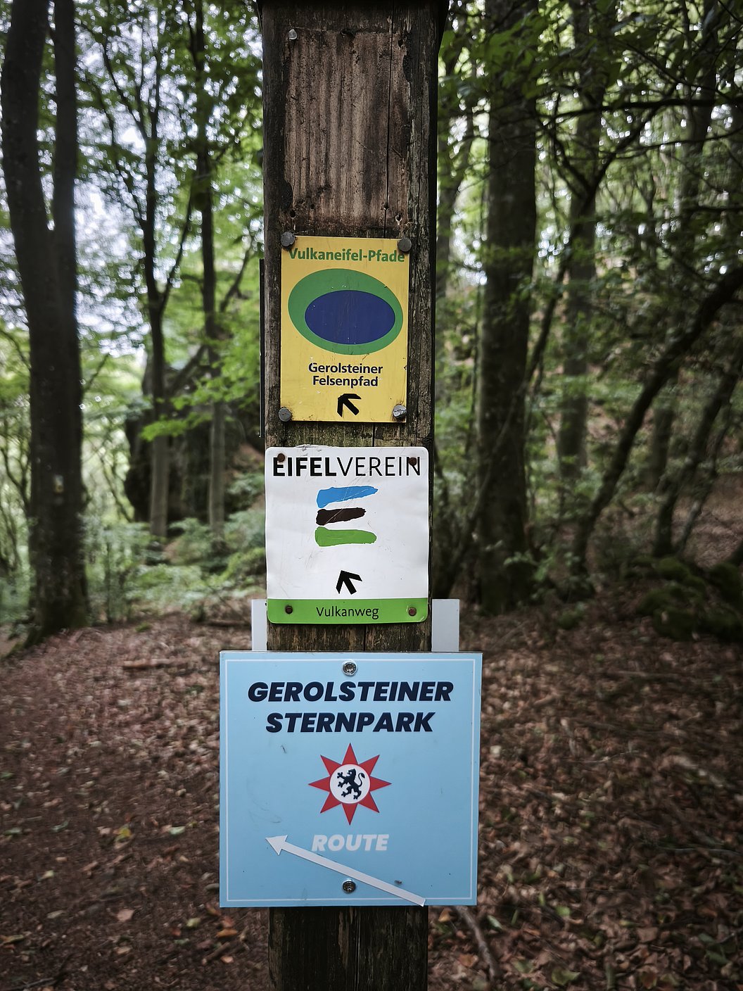 Wegweiser mit drei Schildern an einem Holzpfosten im Wald, oben gelbes Schild mit grünem Kreis und Text 'Vulkaneifel-Pfade Gerolsteiner Felsenpfad' mit Pfeil nach links, mittleres weißes Schild mit buntem 'E' und Text 'EIFELVEREIN Vulkanweg' mit Pfeil nach oben, unten blaues Schild mit rotem Stern, schwarzem Löwen und Text 'GEROLSTEINER STERNPARK ROUTE' mit Pfeil nach links